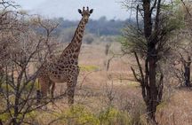 3 Days Mikumi National Park From Zanzibar or Dar es salaam 
