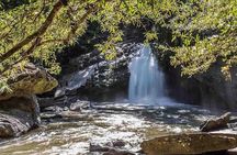2D1N Mae Wang National Park Jungle Trekking Adventure from Chiang Mai