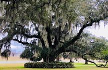 Exclusive Private Access Evergreen Plantation & City Tour