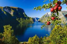 Private tour - Viking Village, Nærøyfjord Cruise & Flåm Railway