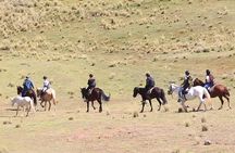 Cusco Day Tour Horse Riding Mystic Tour Full Service The Most Recommended