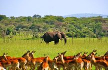 A Day Trip To Selous Fly From Zanzibar
