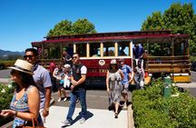 Napa Valley Wine Trolley Castle Tour