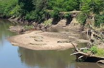 A Day Trip To Saadani National Park From Dar es salaam / Zanzibar