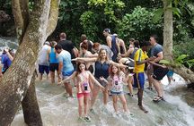 Dunn's River Falls and Fern Gully Highlight Adventure Tour from Kingston