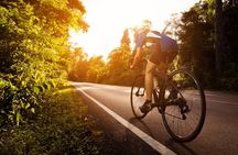 Private Half-Day National Botanic Garden Cycling Tour from Kuala Lumpur