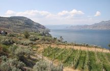 Summerland Private Wine Tour - Half Day