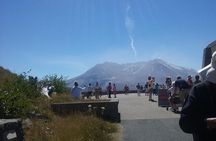 Mt St Helens Full Day Trip