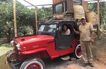 Coffee Farm Experience Private Day Tour