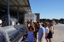 7 Hour Private Santa Barbara Wine Tour