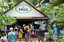 Day Trip to Bob Marley's Nine Mile and Dunn's River Falls from Falmouth