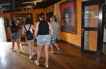 Day Trip to Bob Marley's Nine Mile and Dunn's River Falls from Falmouth
