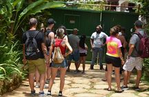 Bob Marley's Nine Mile Admission and Guided Tour from Montego Bay