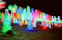 I-City Night Tour