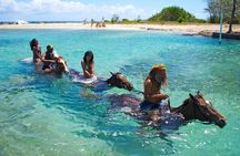 Sand n Saddle Horseback Ride & Swim Tour from Falmouth