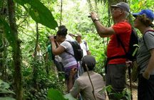 Rio Celeste Hiking from Arenal - National Park Guided Tour