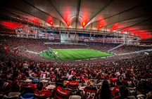 Soccer game in Rio de Janeiro with Local Supporter