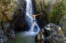 Full-Day El Yunque Rainforest Hike with Waterslide from San Juan