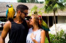 Off-Road Mayan Adventure in Cozumel with Snorkeling and Lunch