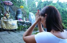 Balinese Village Experience
