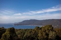 Port Arthur, Richmond and Tassie Devils Active Tour from Hobart