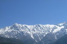 Nature and Village Hike in Dharamshala