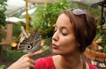 Private Full-Day Mindo Cloud Forest,Butterfly Farm, Chocolate Tour bird watching