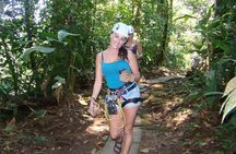 Private Full-Day Mindo Cloud Forest,Butterfly Farm, Chocolate Tour bird watching