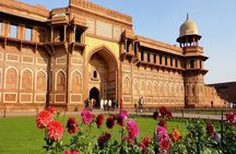 Extensive Agra Fort and colorful Kinari Bazaar Tour