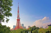Freely set up plans Guided Private Tours in Tokyo