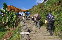 Ghorepani Poon Hill Trekking