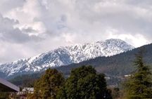 Nature and Village Hike in Dharamshala