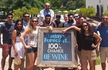  Small Group Daily Wine Tour