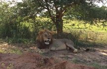 2-days Murchison Falls and Wildlife Game Viewing