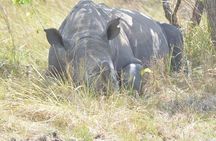 2-days Murchison Falls and Wildlife Game Viewing