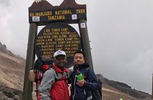  Discover The Best 7-day Kilimanjaro climbing via Machame route