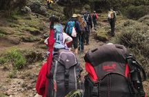  Discover The Best 7-day Kilimanjaro climbing via Machame route