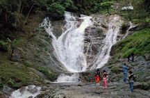 Cameron Highlands Tour on Private Basis