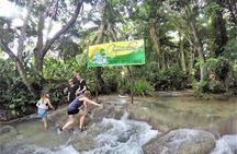 Dunn's River Falls and Ocho Rios Shopping Tour from Montego Bay Hotels