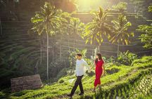 Ubud Tour - Monkey Forest, Temple, Waterfall, and Rice Terrace
