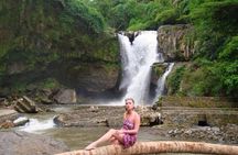 Day Trip: Ubud Monkey Forest, Rice Terrace, Temple and Waterfall 