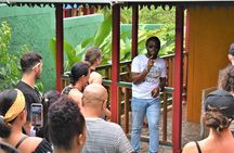 Bob Marley's Nine Mile Day-Trip with Admission & Guided Tour from Falmouth