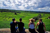 Tanah Lot - Jatiluwih (UNESCO) - Bedugul and Ulun Danu Temple Tour