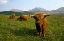 3-Day Isle of Skye, 'Hogwarts Express' Train and Highlands Tour