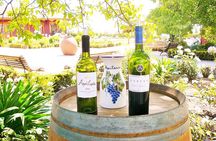 Winery & Valparaiso Private Tour - day trip from Santiago