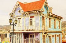 Winery & Valparaiso Private Tour - day trip from Santiago