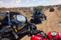 Agadir Desert Adventure: Beach Buggy & Sandboarding with pickup