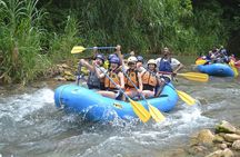 Dunns River Falls and River Rapids Jamaica with Lunch
