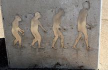 Cradle of Humankind Tour - Sterkfontein Caves with Maropeng Tour