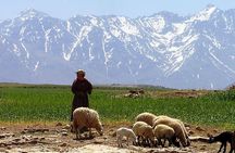 Marrakech to Fes desert tour 3 days & Camel trek (All-inclusive)